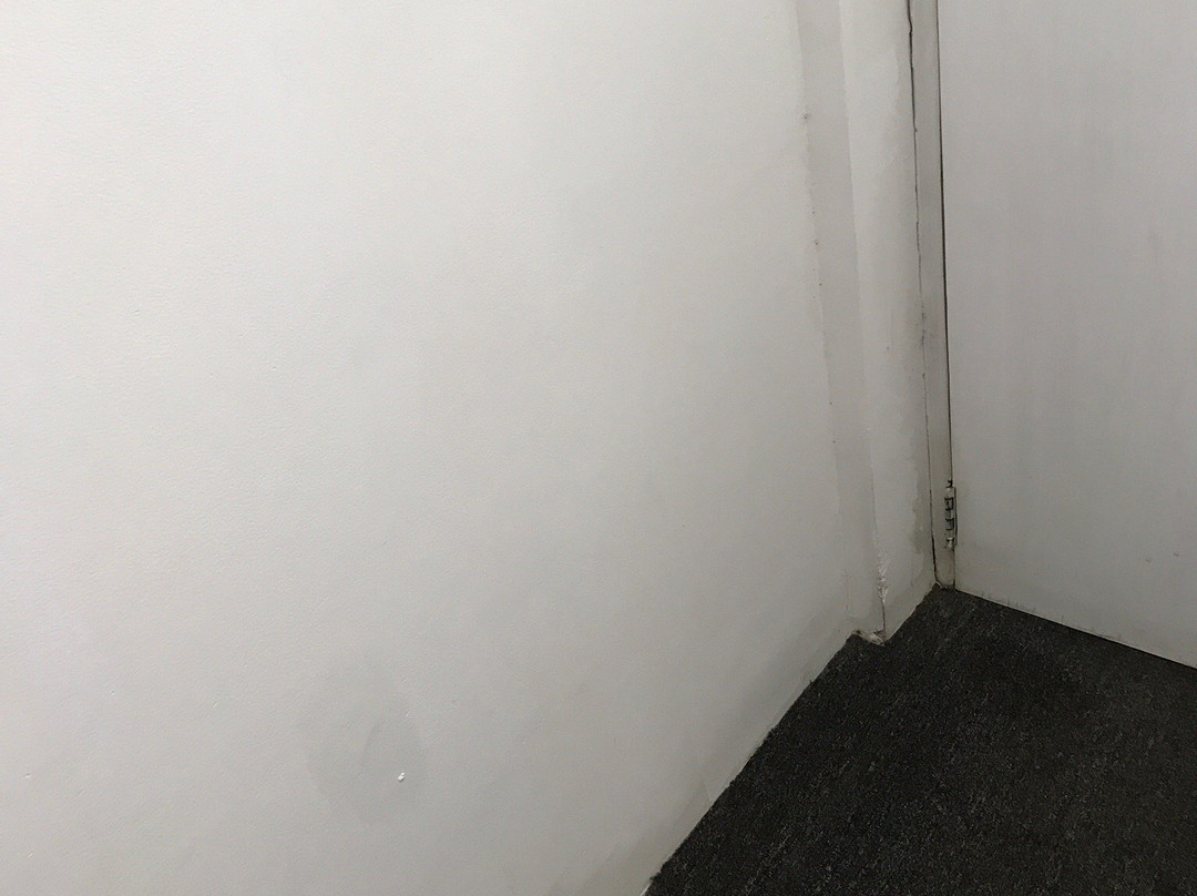 圣卢查套房酒店主图