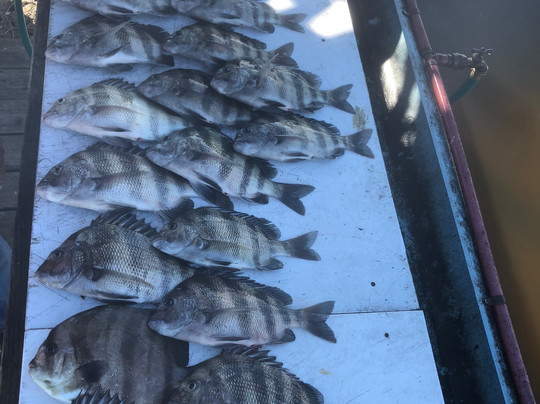 Blue Water Charters-橙色海湾必去景点