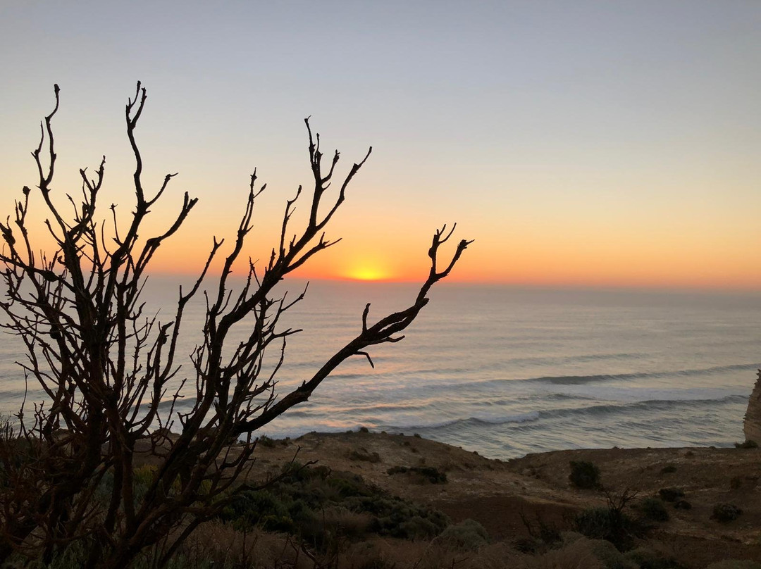 Great Ocean Road Trips - Day Tours-季隆必去景点