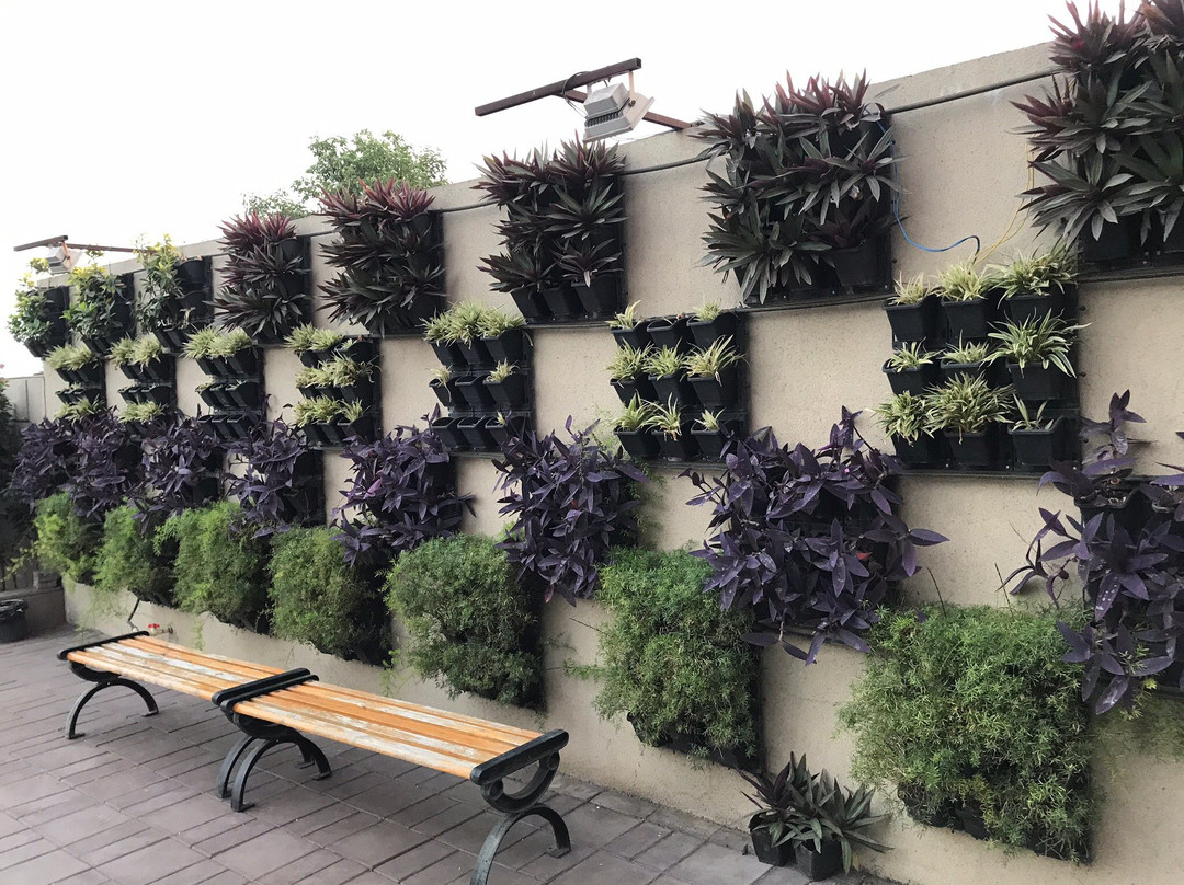 Click Hotel Sagar Plaza Chakan, Pune主图