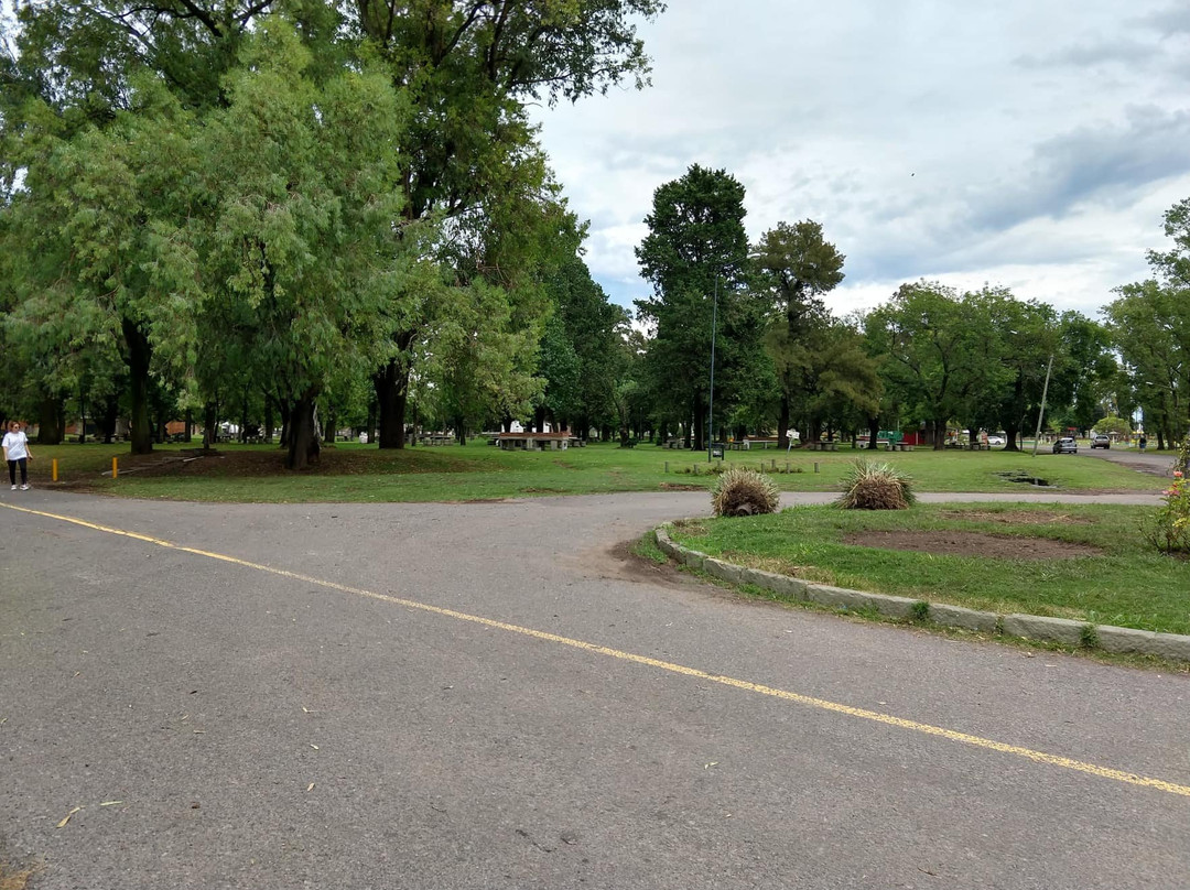 Parque Municipal景点图片