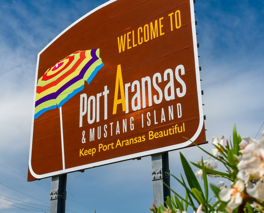 Bron's Beach Carts-阿兰瑟斯港必去景点