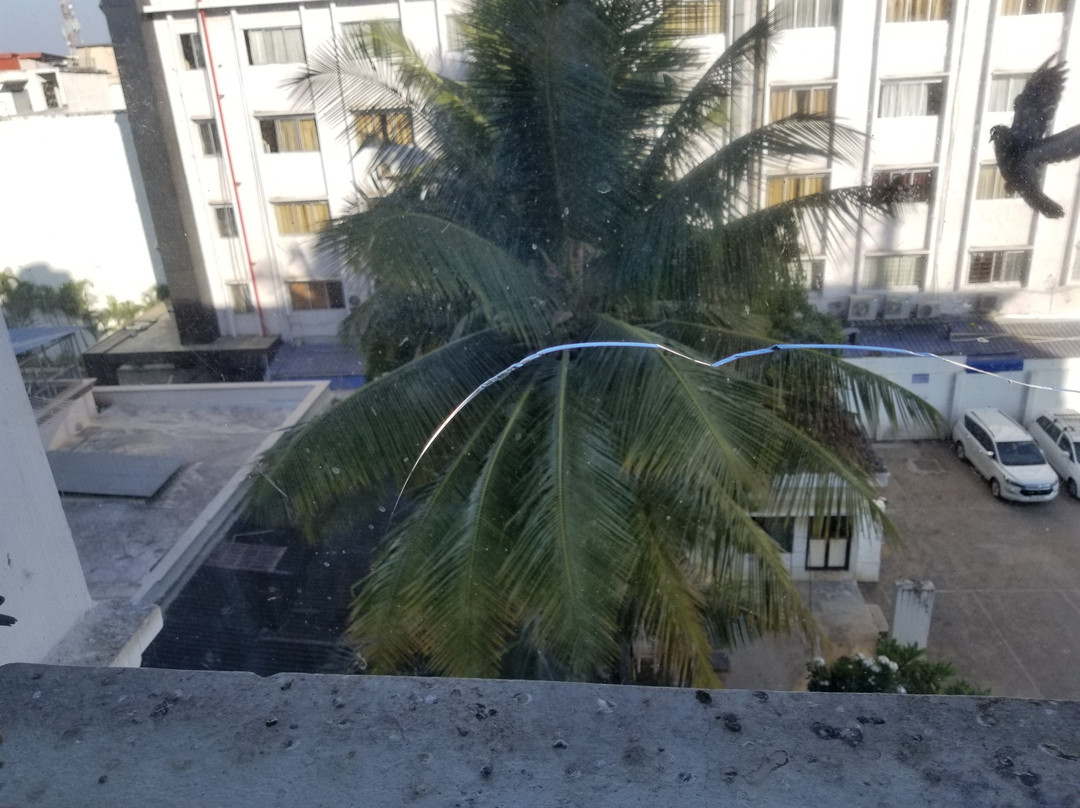 Royal Orchid Central主图