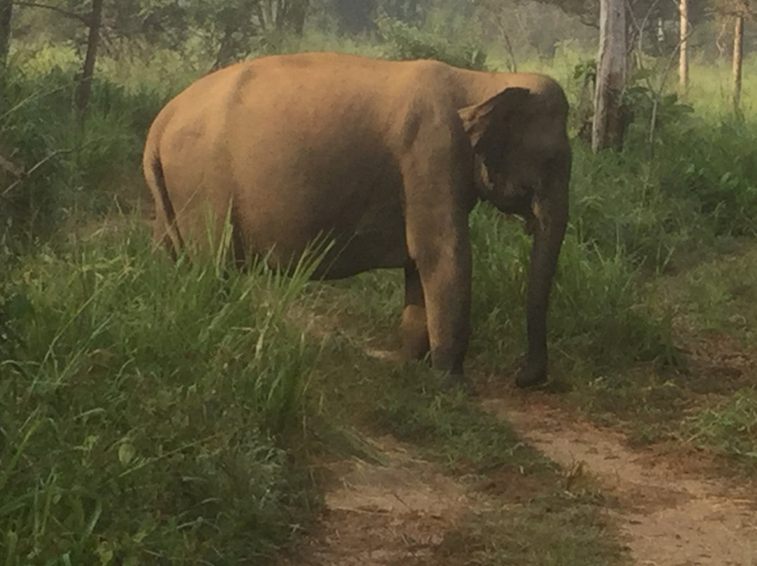 Sri Lanka Vacation Tours景点图片