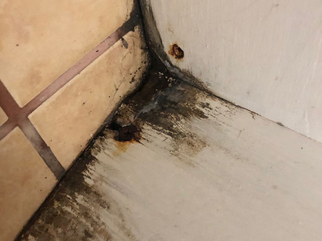 Assagay Country Guest House主图