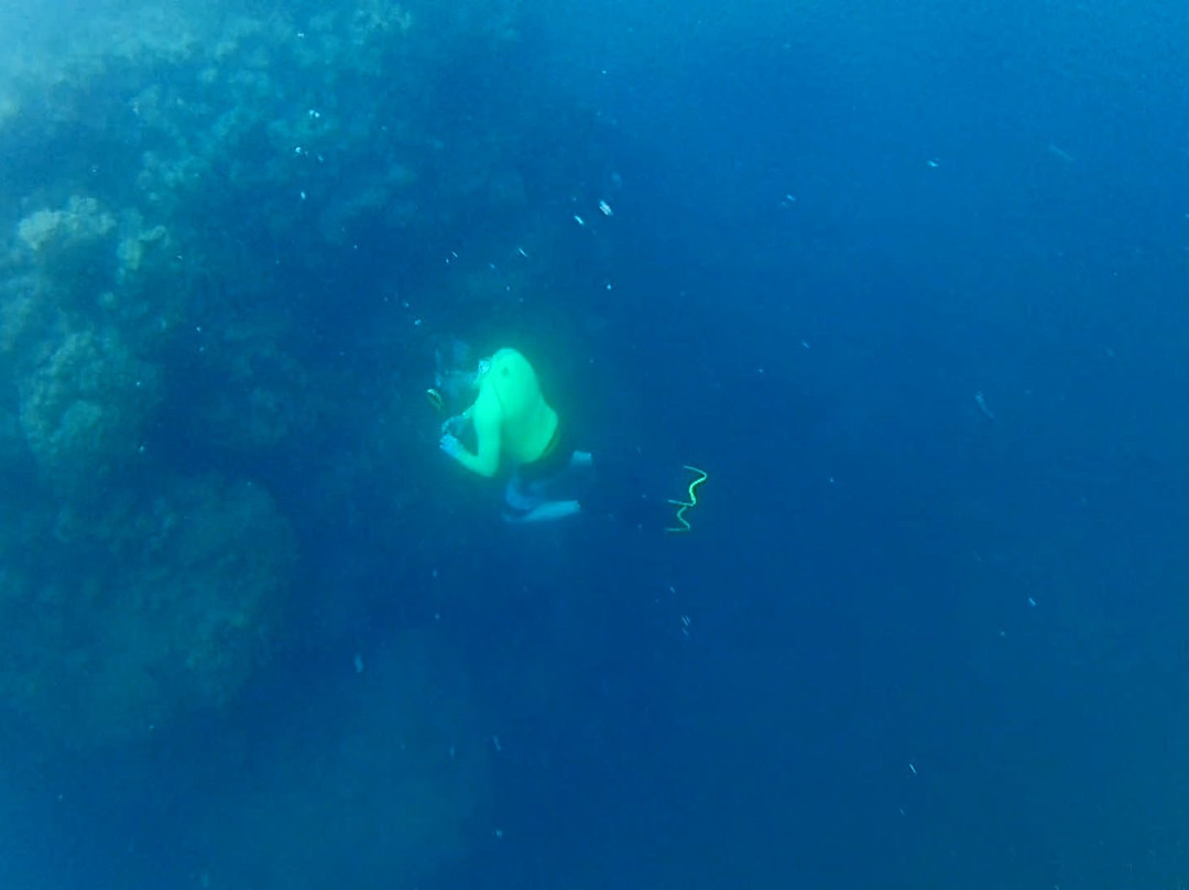 瓦纳纳努海滩酒店主图