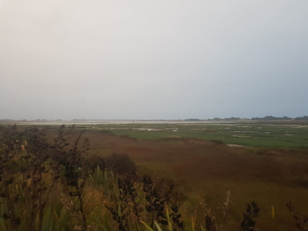 斯宾塞公园-基督城必去景点