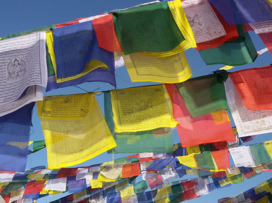 Asiana Treks & Tours-加德满都必去景点