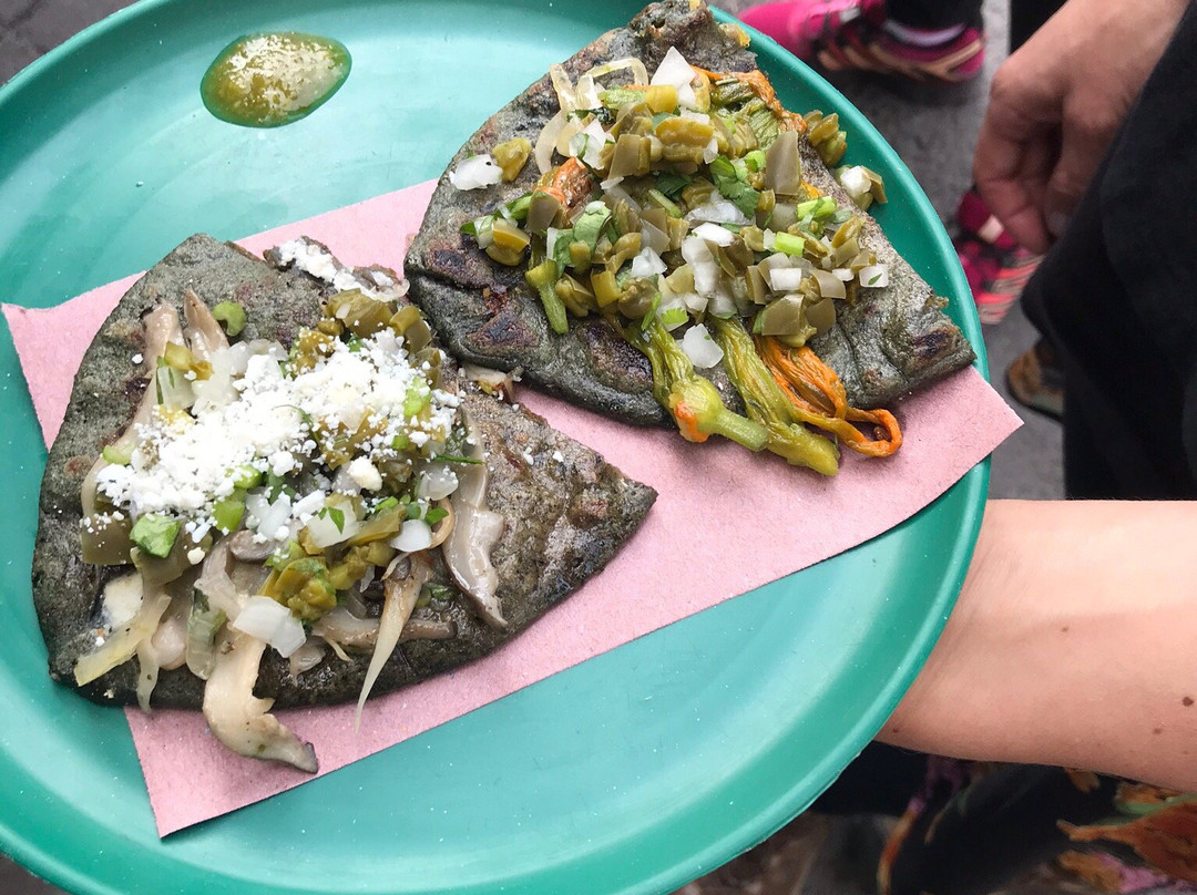 Travelling Herbivore-墨西哥城必去景点