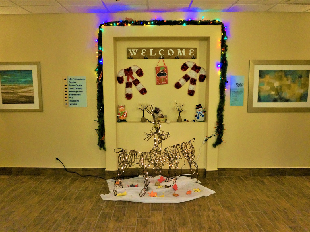 Holiday Inn Express Yorkton East By IHG主图