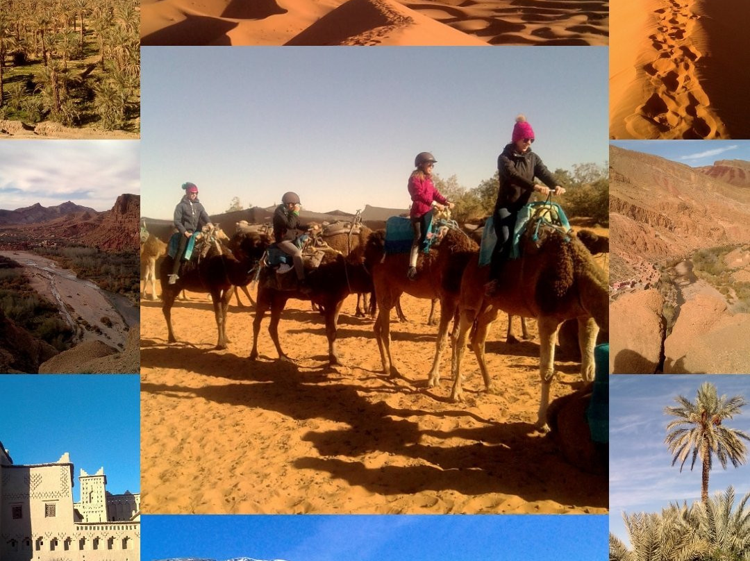 Easy Travels in Morocco景点图片