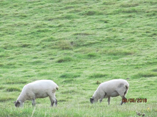 Hill View Farm主图