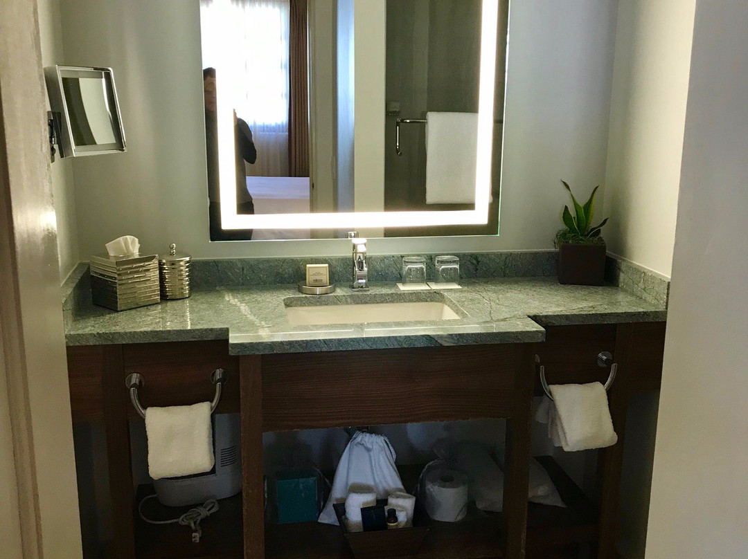 聖達菲瑰麗酒店主图