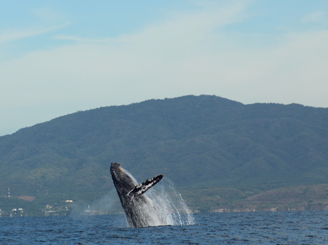 BIOCEAN Wildlife Encounters-新瓦雅塔必去景点