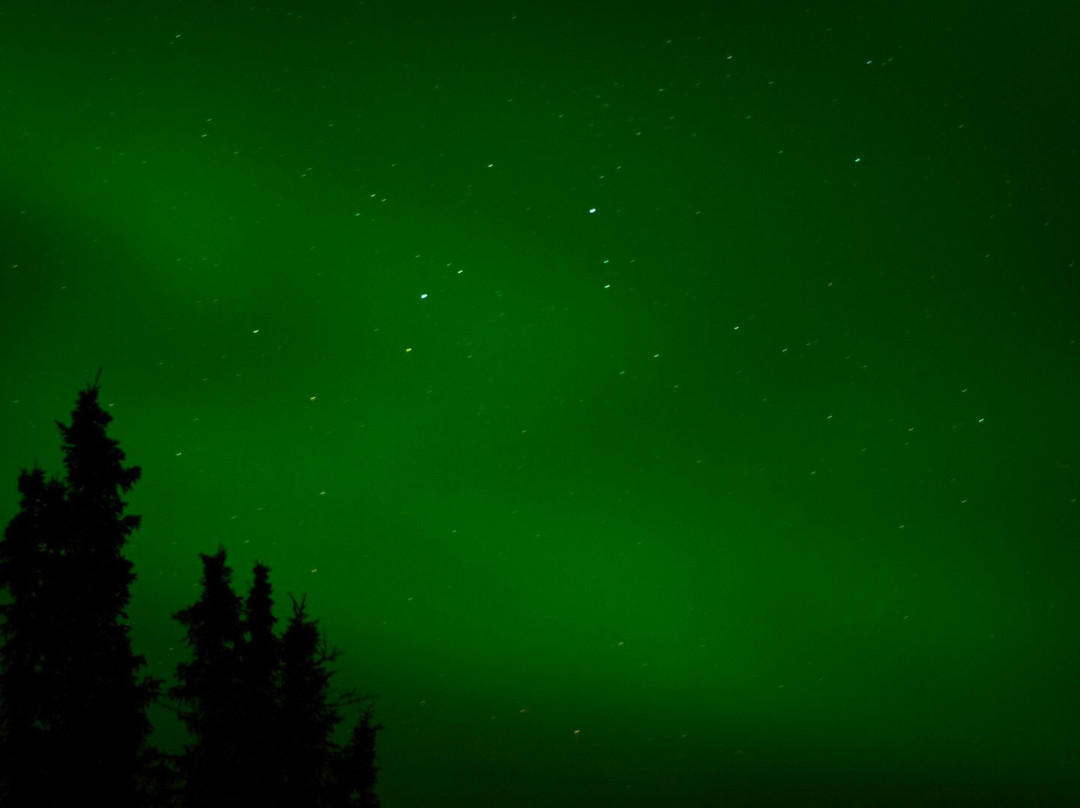 Alaska Skies Aurora Tours LLC-费尔班克斯必去景点