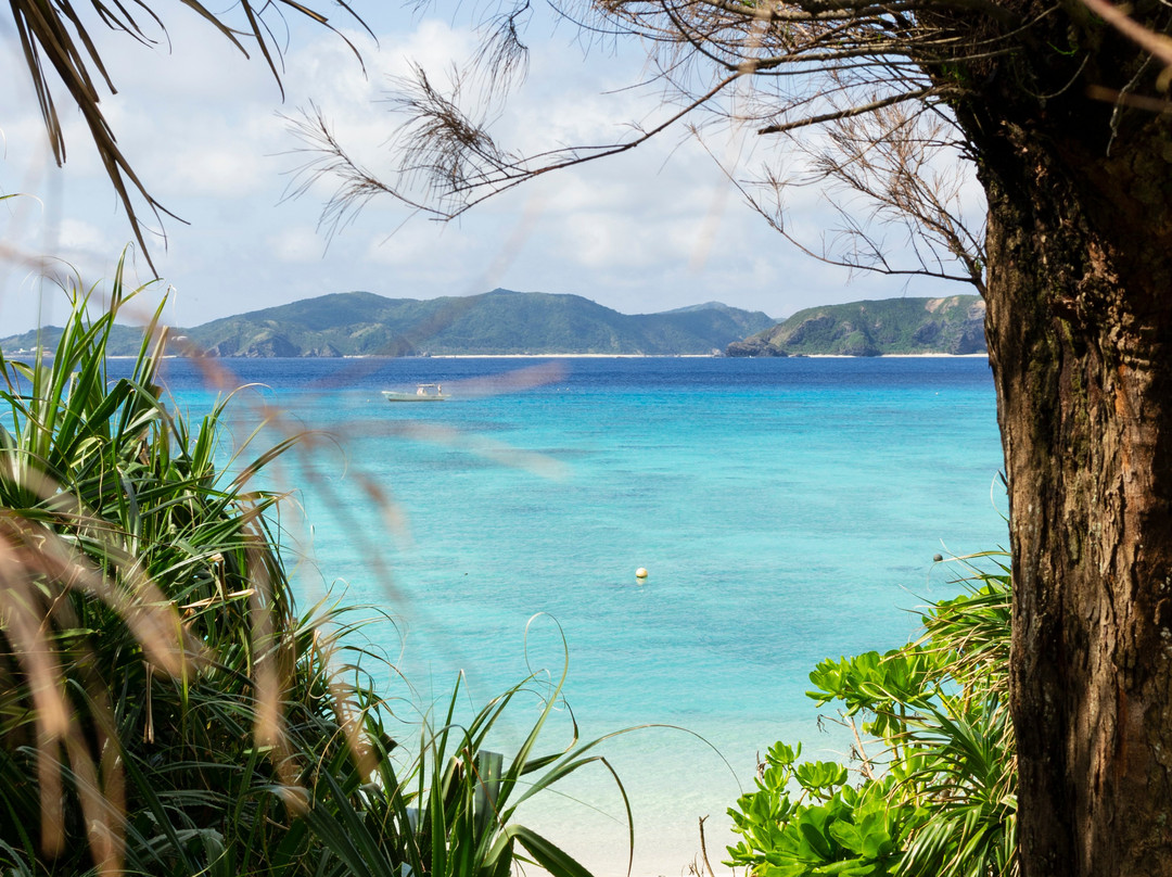 渡嘉敷海洋度假村主图