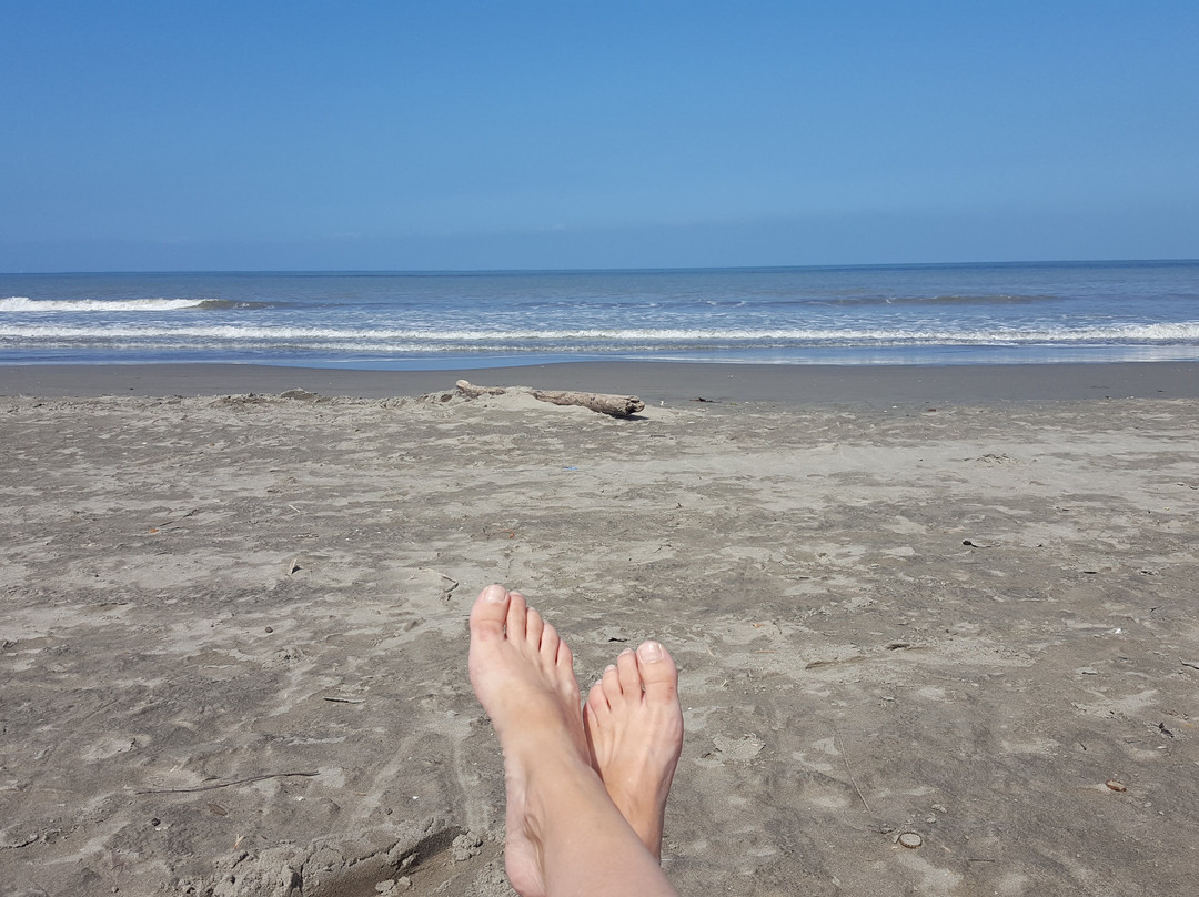 Aria Hotel & Spa主图