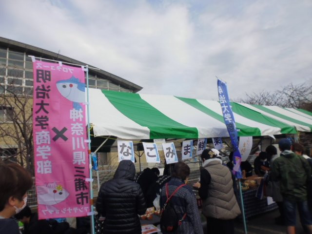 Shiokaze Arena-三浦市必去景点