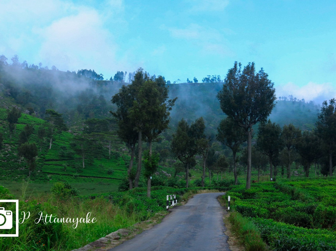 Lake Richmond-哈普特莱必去景点