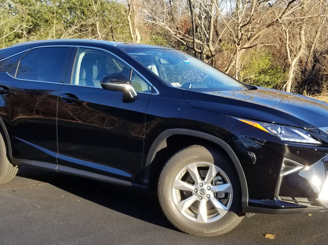 Raffi's Limousine Service景点图片