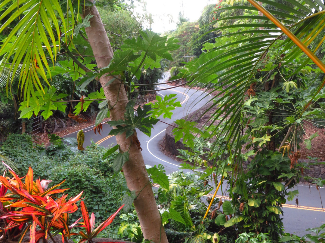 黑尔玛鲁希亚乡村酒店主图