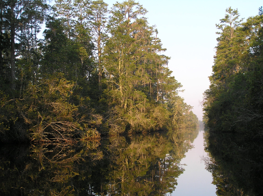 Suwanee Canal Recreation Area-Folkston必去景点