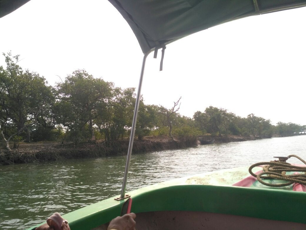 Bichitrapur Mangrove Reserve景点图片