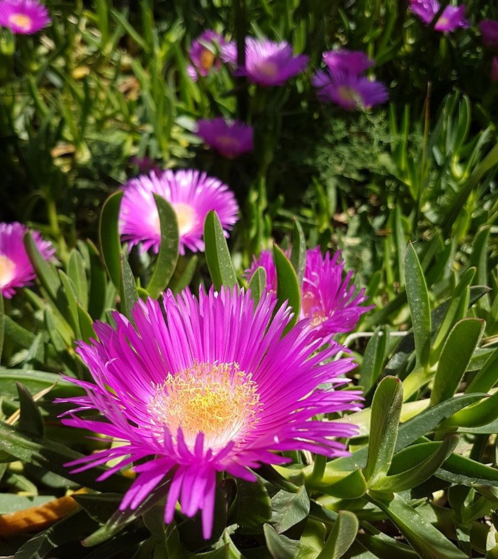 Tolon Beach Hotel主图