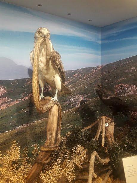 Museum  Of Natural History - Municipality of Serres景点图片