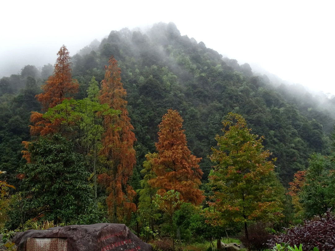 郴州莽山国家森林公园景点图片