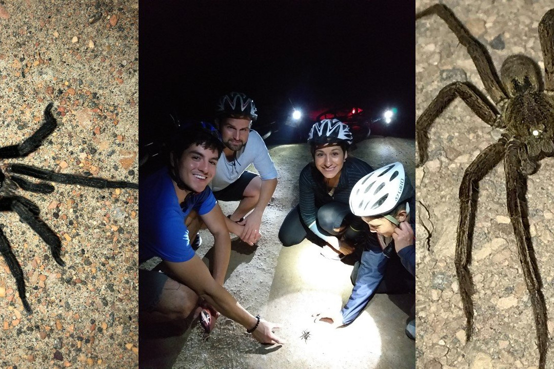 Mindo Biking-明多必去景点