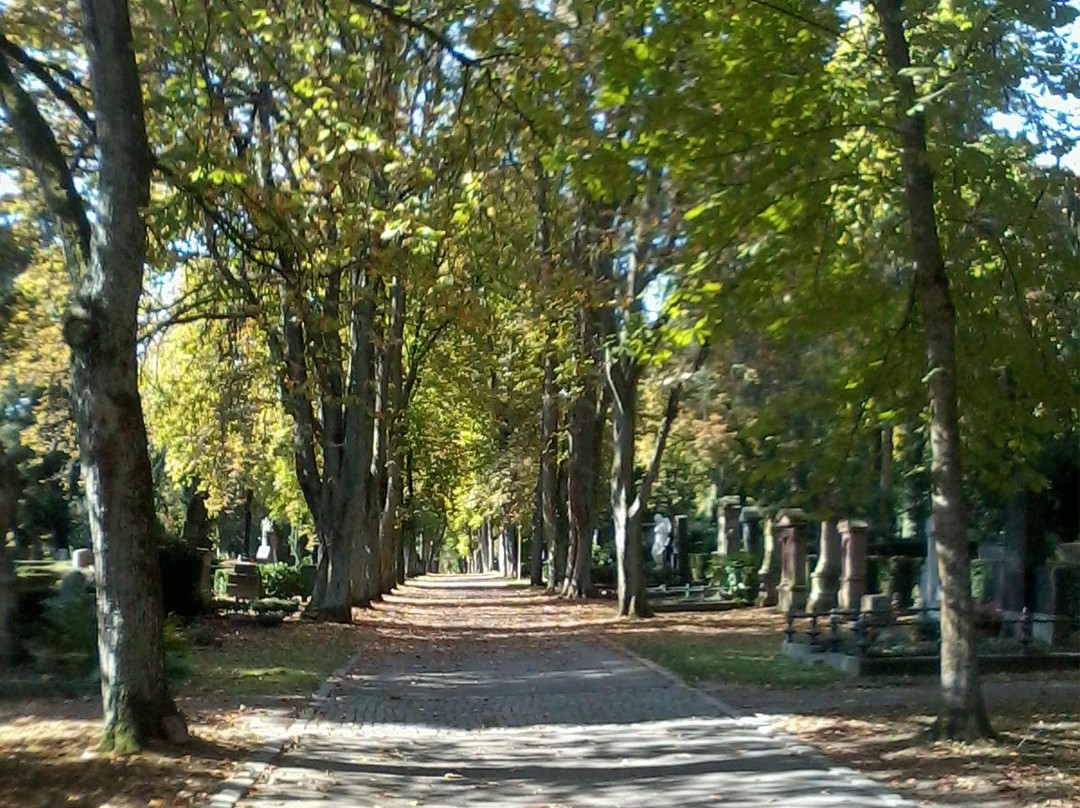 Hauptfriedhof景点图片