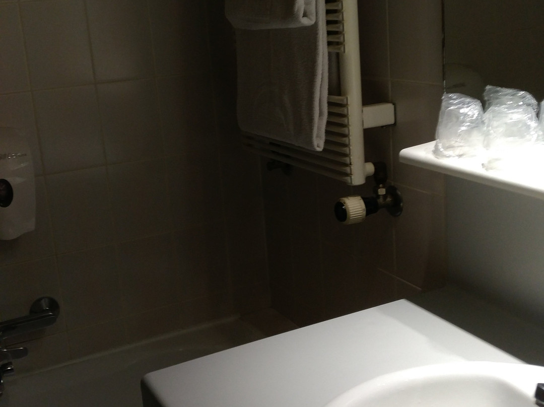 Park Hotel Airport主图