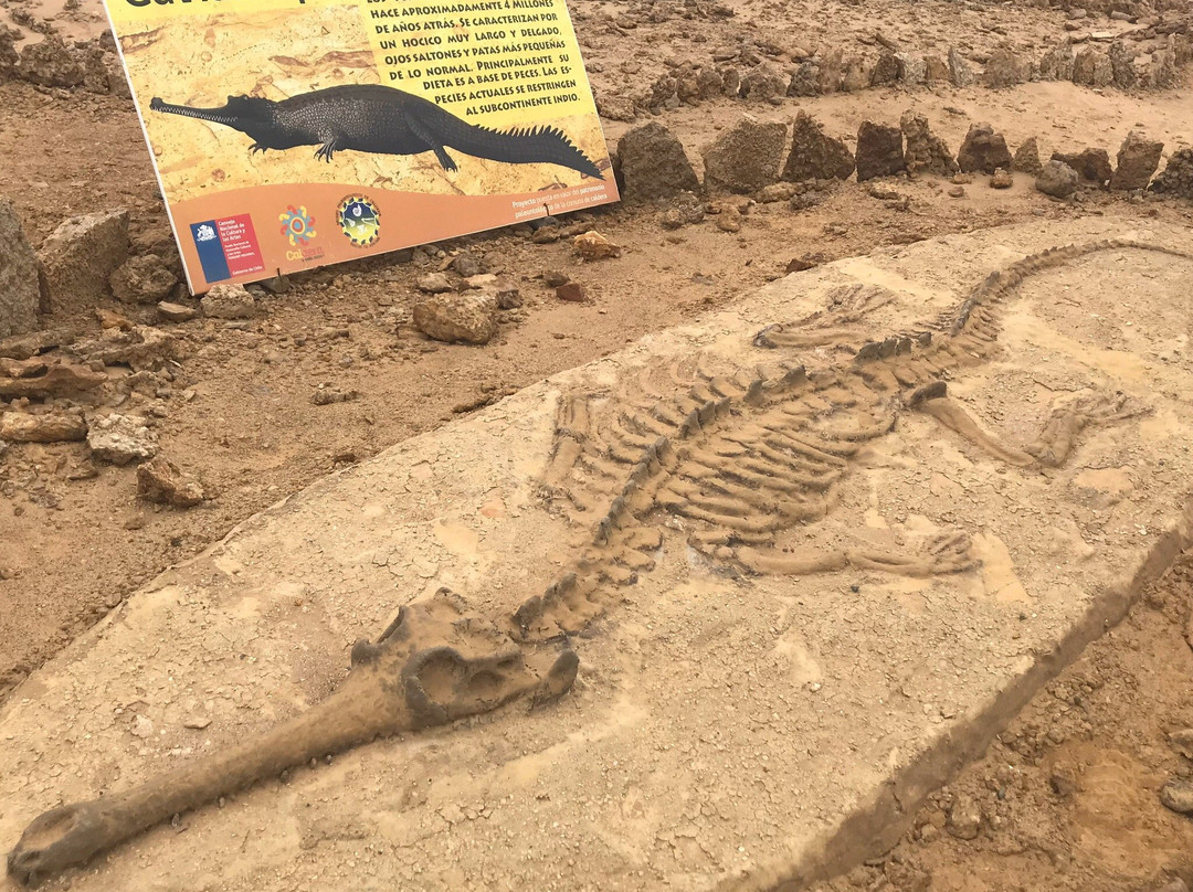 Parque Paleontologico De Caldera-Caldera必去景点