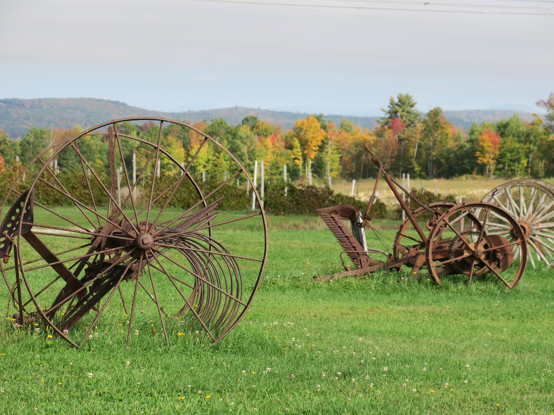 Vista of Maine Vineyard & Cidery Tasting Room-Greene必去景点