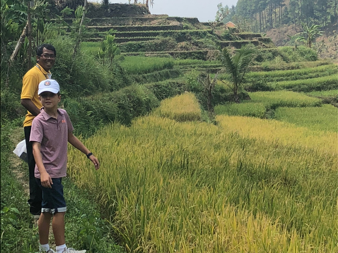 Java Exotic Tour-Yogyakarta必去景点