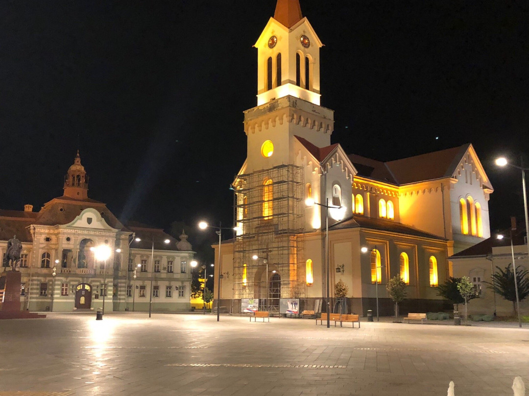Zrenjanin Catholic Cathedral景点图片