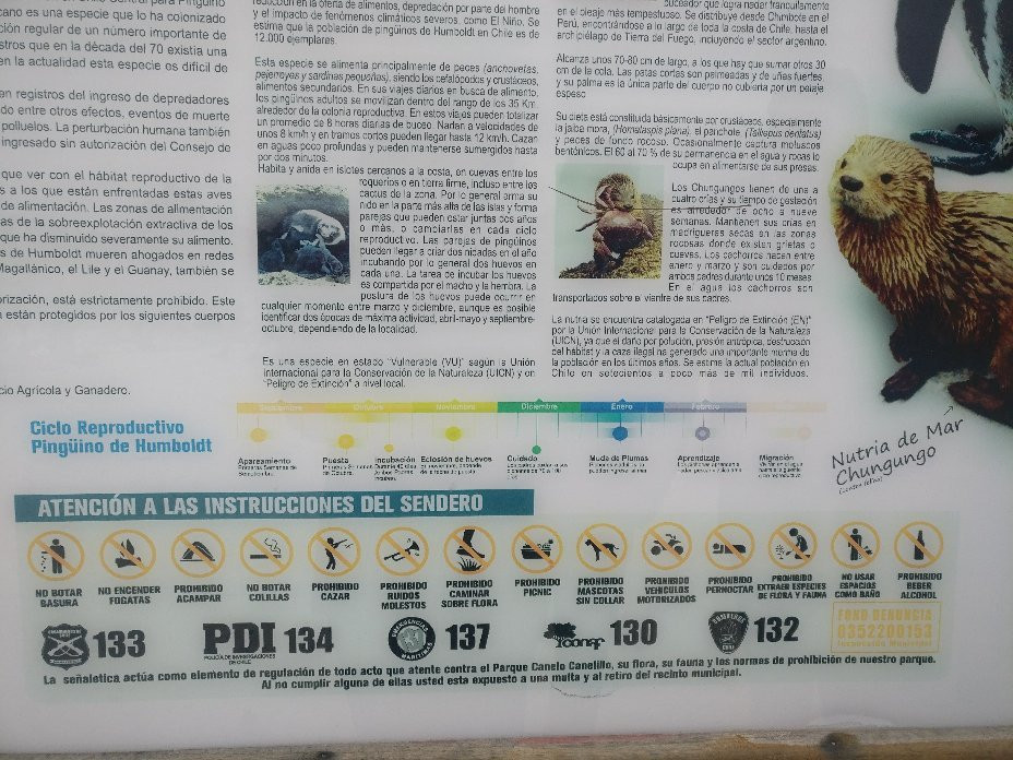 Penguin Island景点图片