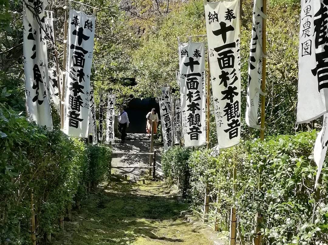 Stairs of Moss-镰仓市必去景点