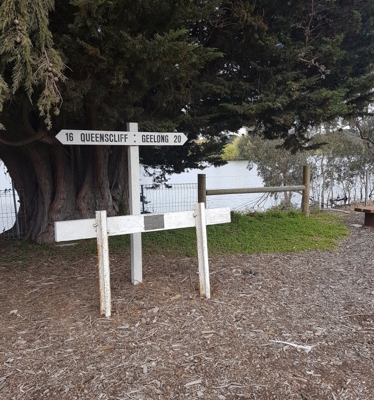 Bellarine Rail Trail-季隆必去景点