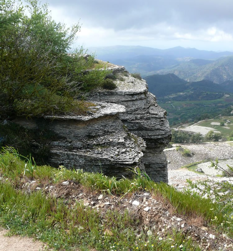 Cyprus Walks Etc-尼科西亚必去景点