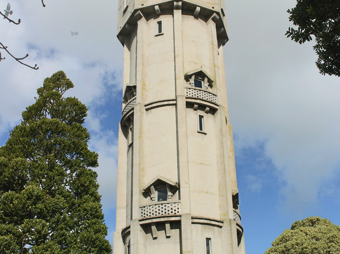 Hawera Water Tower景点图片