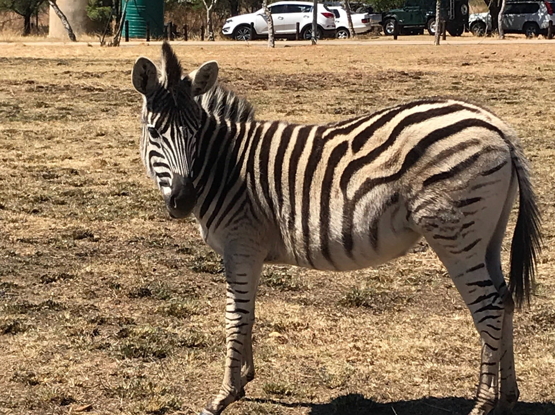 Moreleta Kloof Nature Reserve-比勒陀利亚必去景点