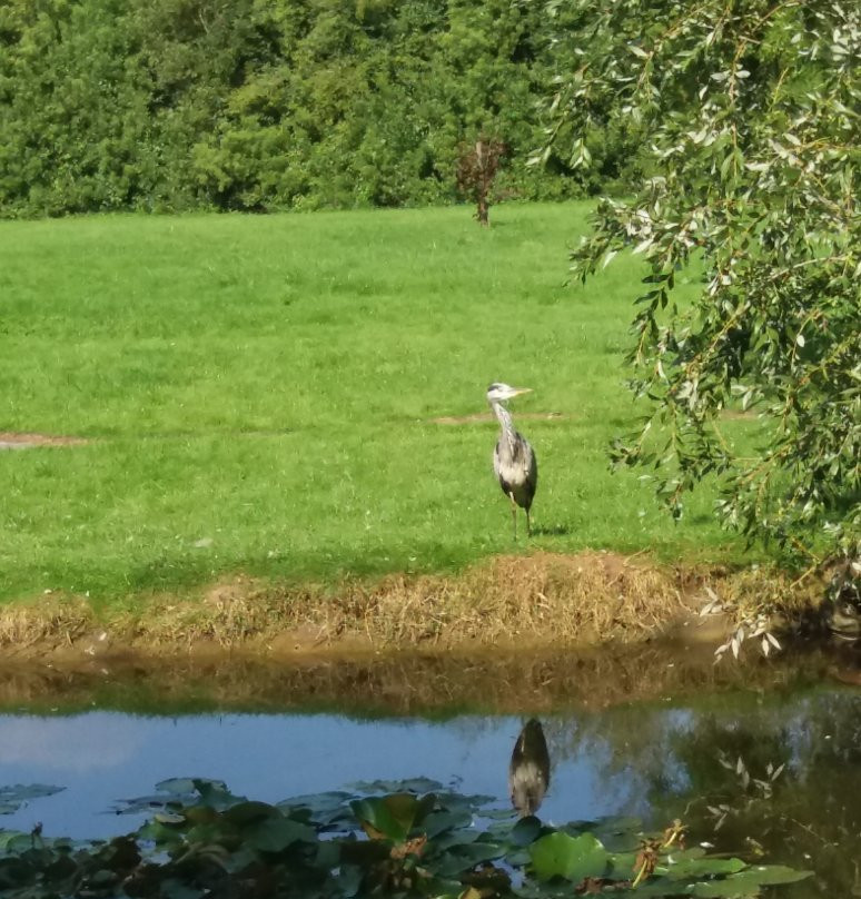 Burggraaf Frimoutpark景点图片