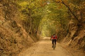 Hotel Rural Musical主图