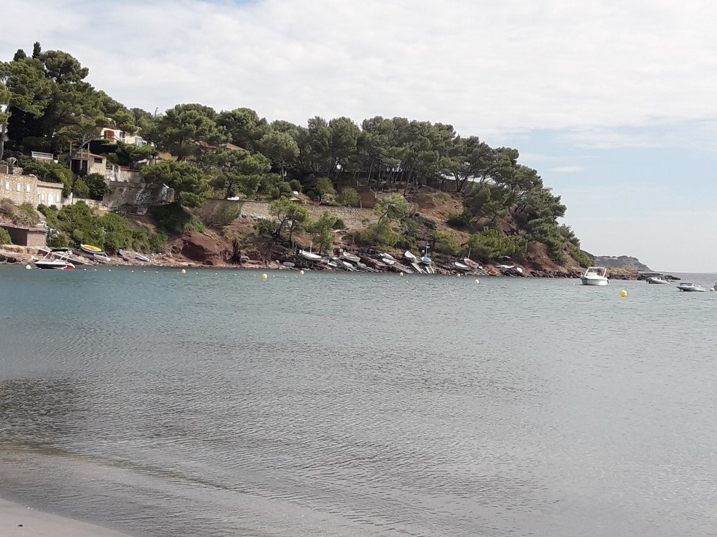 Plage de Fabregas-滨海拉塞纳必去景点