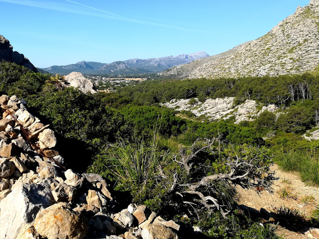 Cala Boquer景点图片