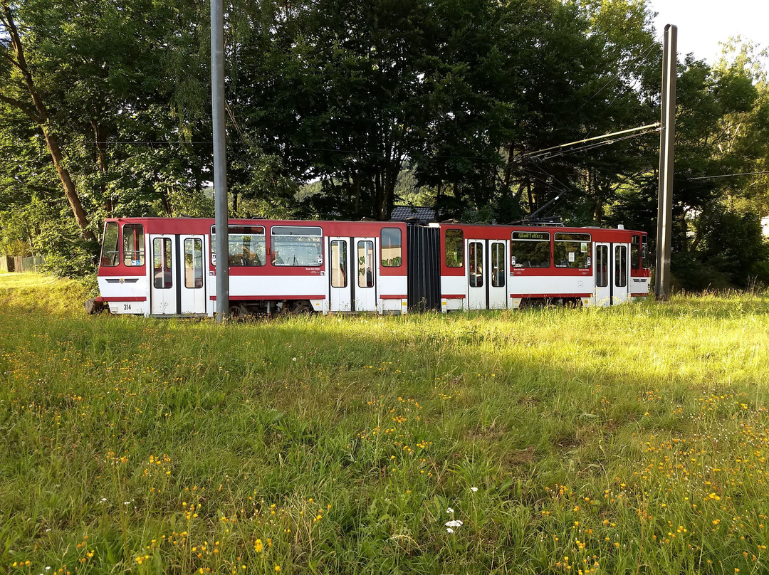 Thueringerwaldbahn景点图片