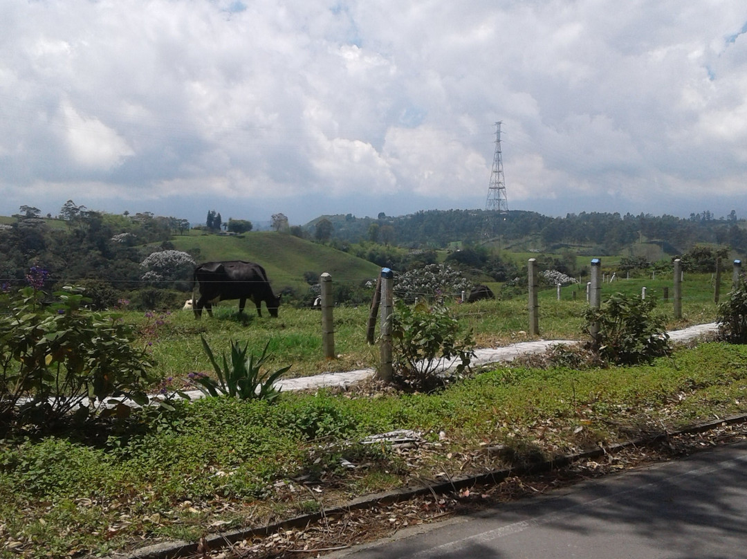 Ruta Bicicleta-Calarca必去景点