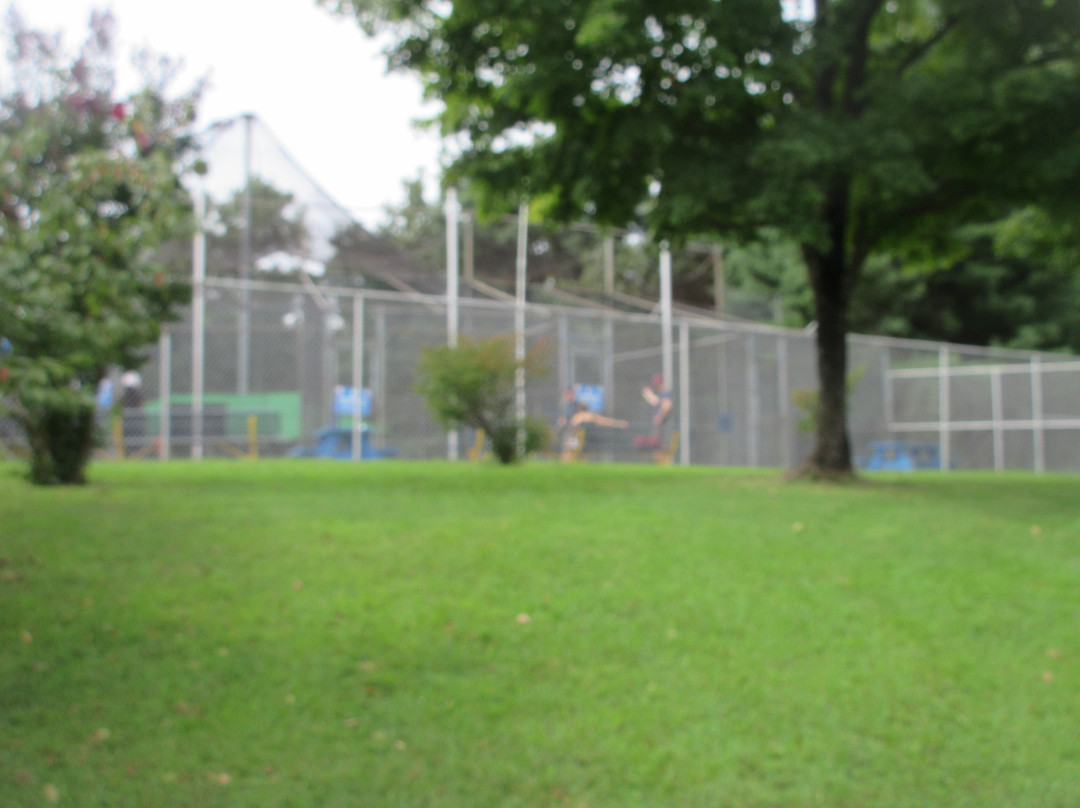 Upton Hill Regional Park景点图片